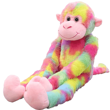 Peluche Singe Multicolore