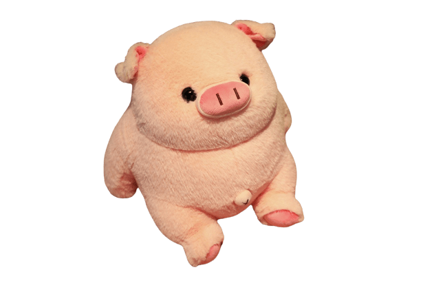 Cochon En Peluche