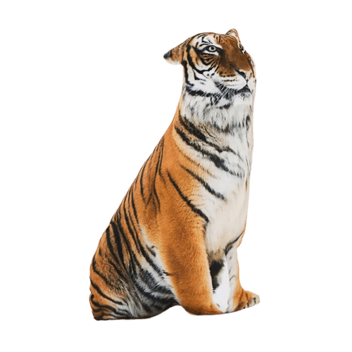 Sitting Tiger Plush Cushion