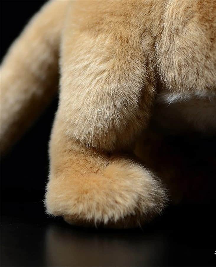 Baby Lion Plush