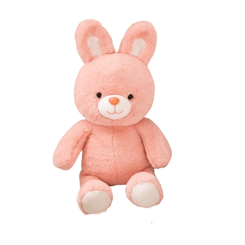 Pink Teddy Bear