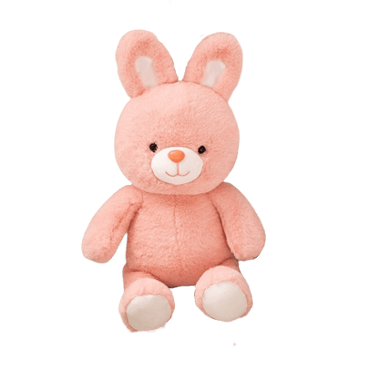 Pink Teddy Bear