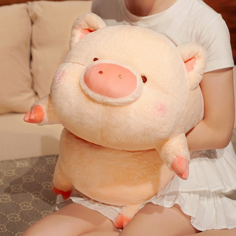 Teddy Bear Pig