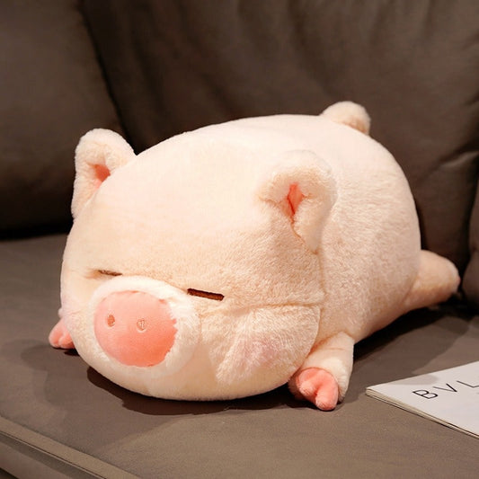 Teddy Bear Pig