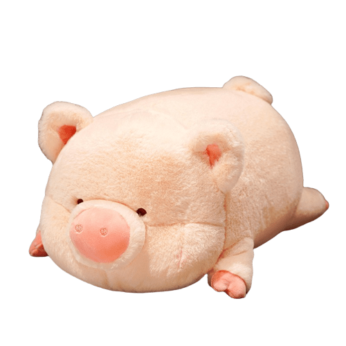 Teddy Bear Pig