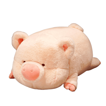 Teddy Bear Pig