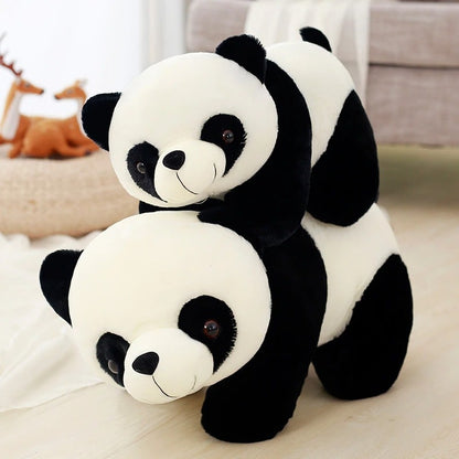 Ours Panda Peluche