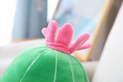 Peluche Cactus Kawaii