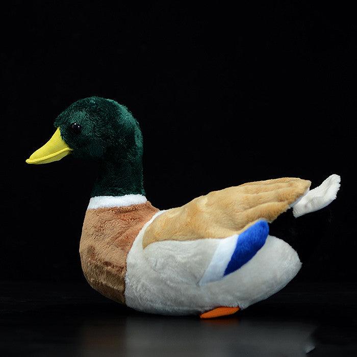 Peluche Canard Colvert