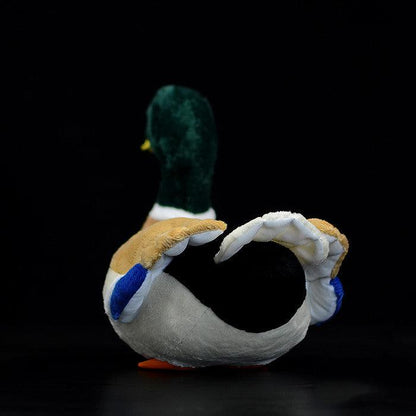 Peluche Canard Colvert