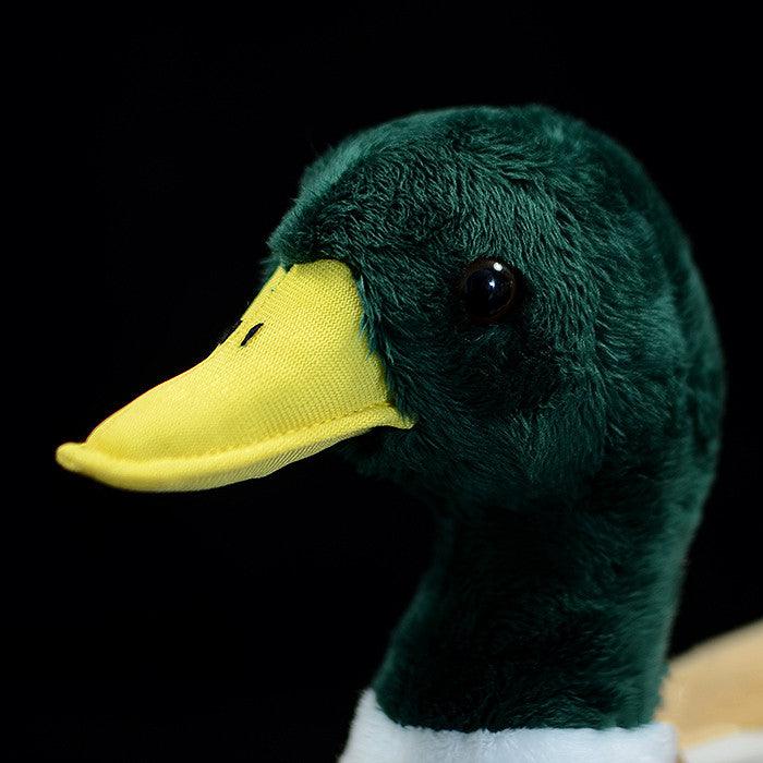 Mallard Duck Plush Toy