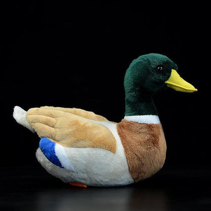 Peluche Canard Colvert