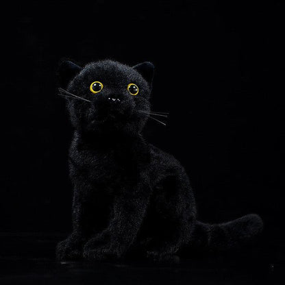 Peluche Chat Noir