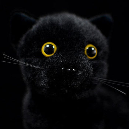 Peluche Chat Noir