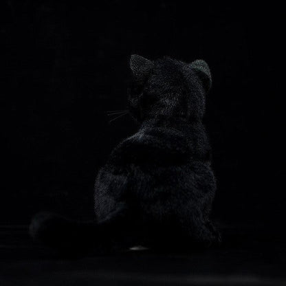 Peluche Chat Noir