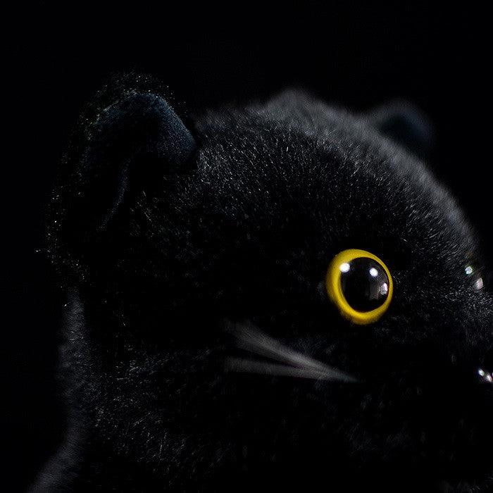 Peluche Chat Noir