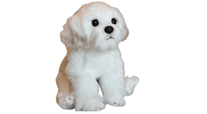 Sitting White Dog Plush Toy