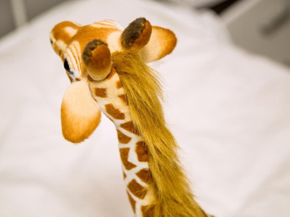 Peluche Girafe