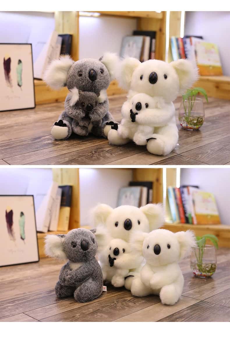 Peluche Koala Blanc