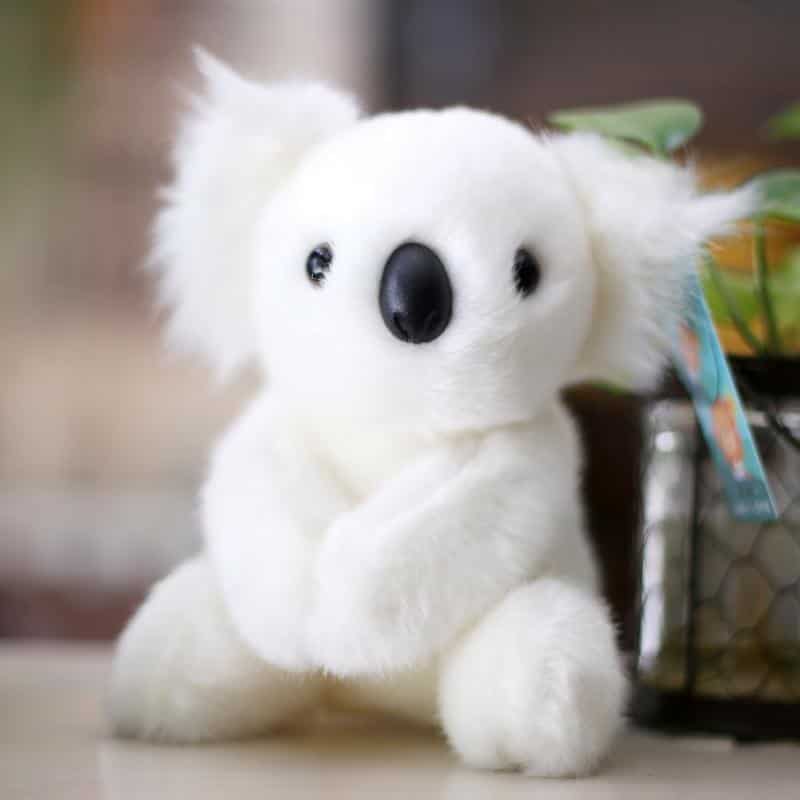 White Baby Koala Plush