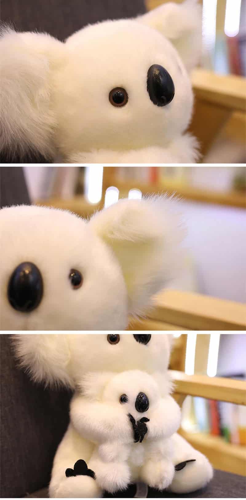 Peluche Koala Blanc