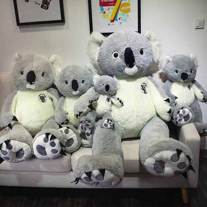 Peluche Koala Australie