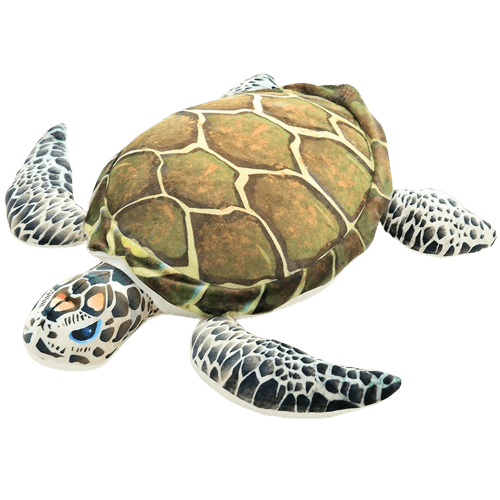 Peluche Tortue De Mer