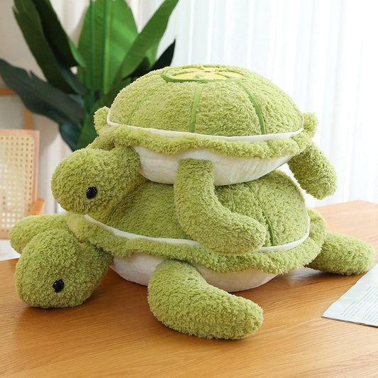 Peluche Tortue Molletonné