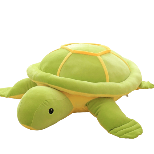 Peluche Tortue Câlin