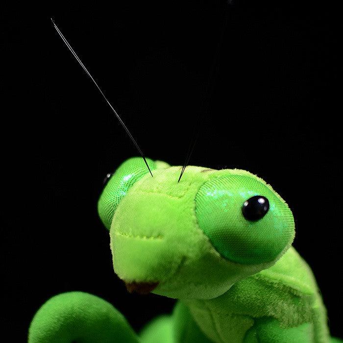 Realistic praying mantis plush toy