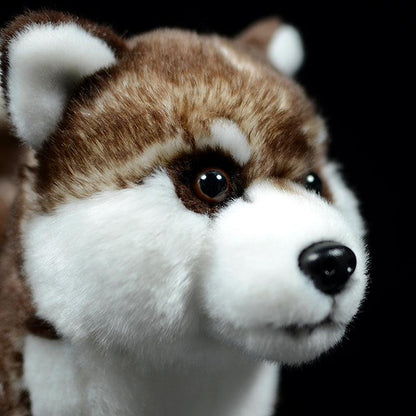 Peluche réaliste Husky marron