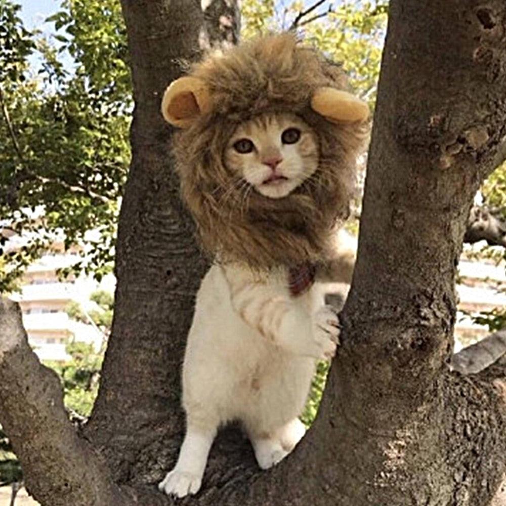 Peluche Hilarious and Funny Cat Lion Mane