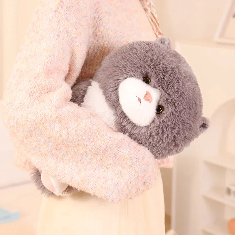 Fluffy Mr. Kitty soft toy