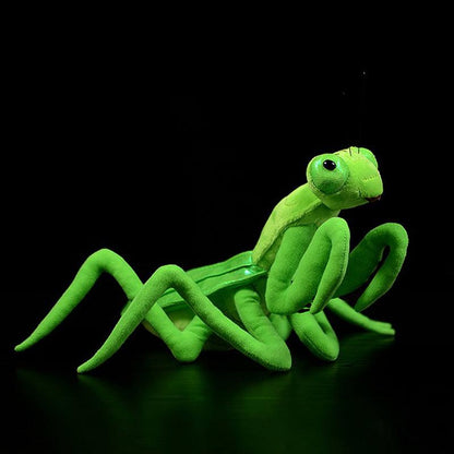 Realistic praying mantis plush toy