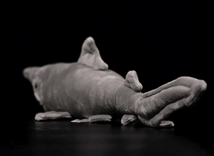 Realistic shark plush toy