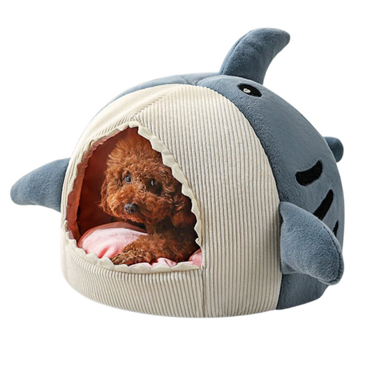 Petit lit pour requin