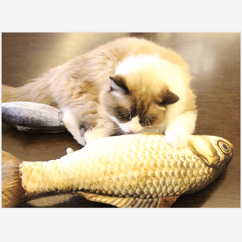 3D Fish Shape Plush Cat Toy Interactive Gifts