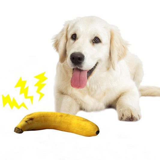 Jouets en forme de banane pour chien (2 pièces)