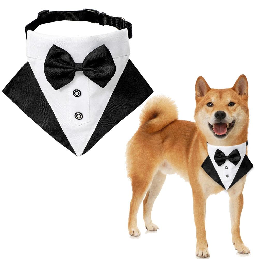 Tuxedo dog bandana