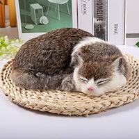 Hyper-realistic plush dolls for sleeping cats