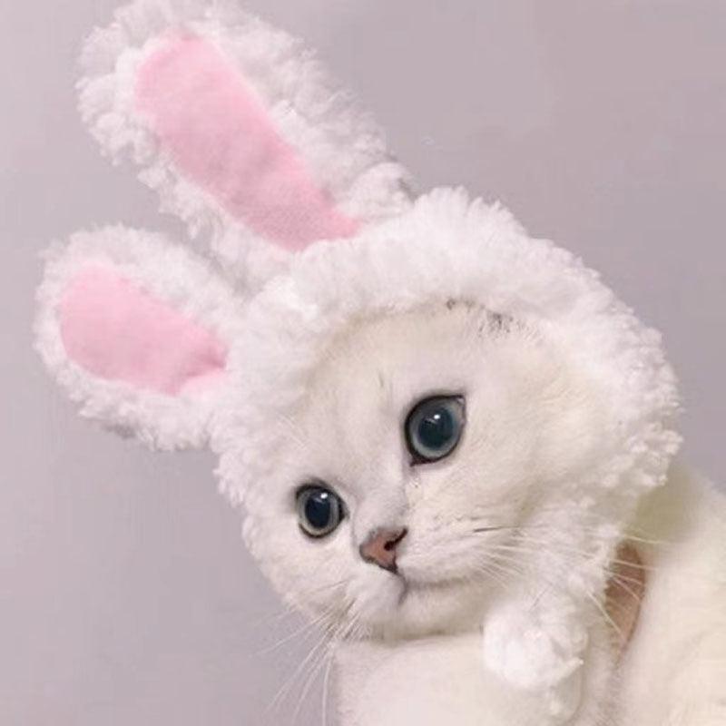 Plush bunny ears