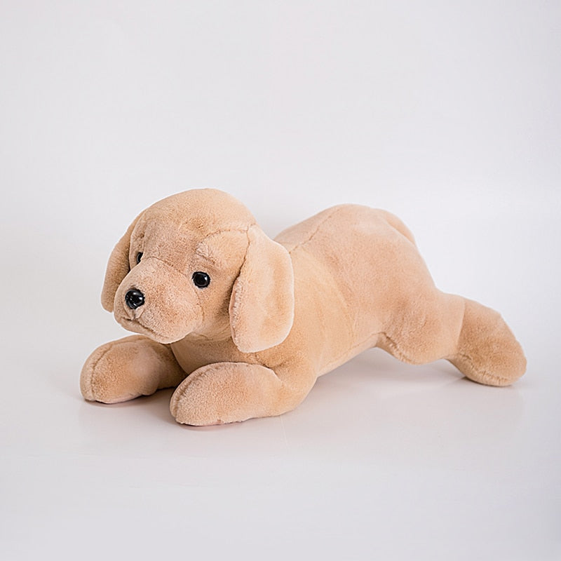 Adorable peluche Golden Retriever avec capuche