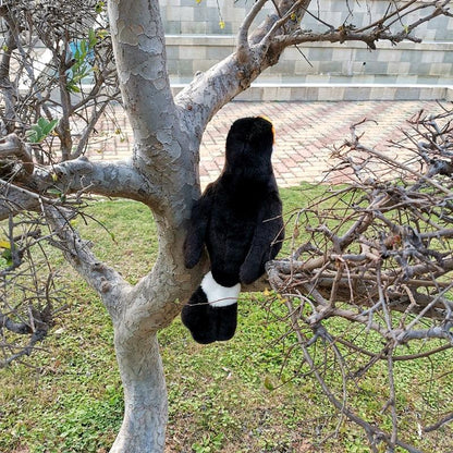 Large realistic Toucan plush toy