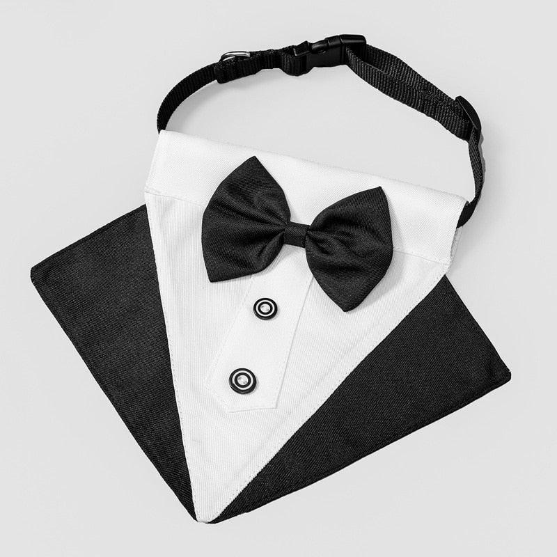 Tuxedo dog bandana