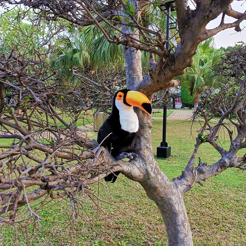 Large realistic Toucan plush toy