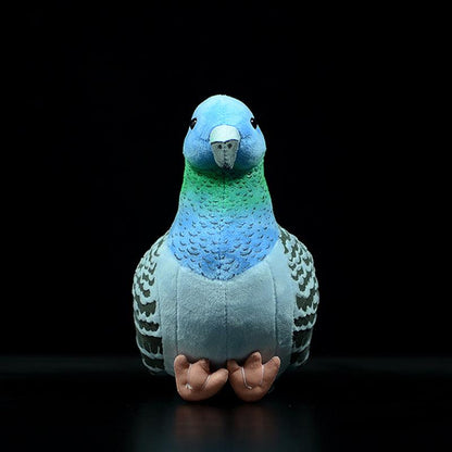 Realistic Wild Pigeon Plush