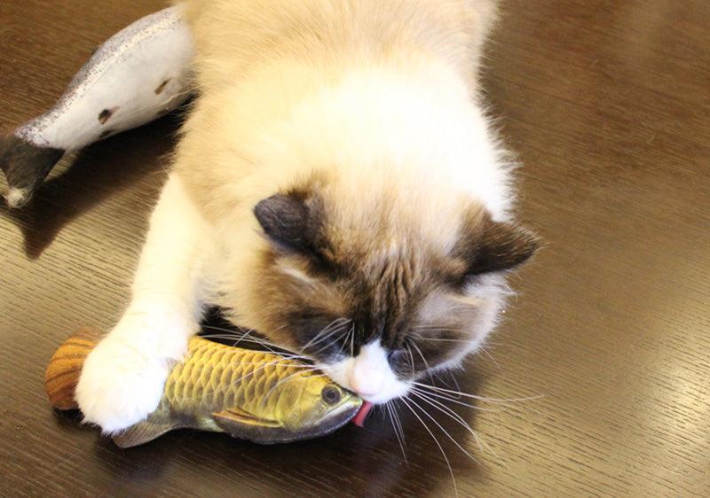 Peluche poisson drôle de chat