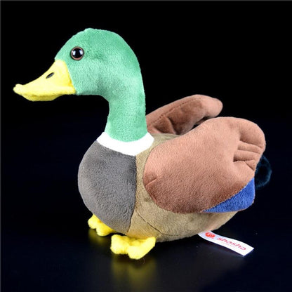 Peluche canard colvert super mignon