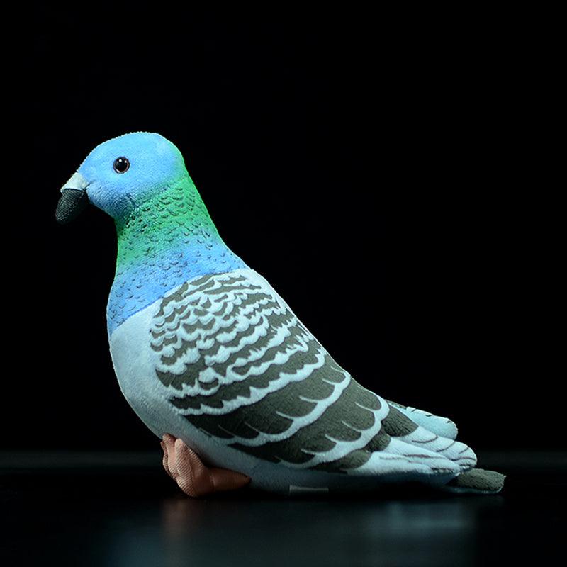 Realistic Wild Pigeon Plush