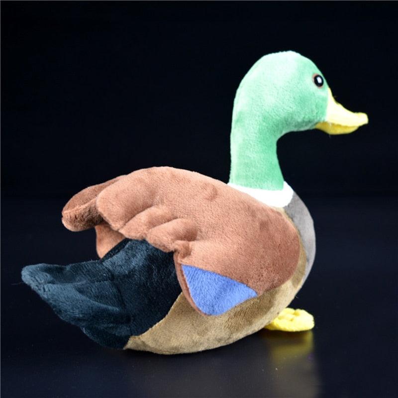 Peluche canard colvert super mignon